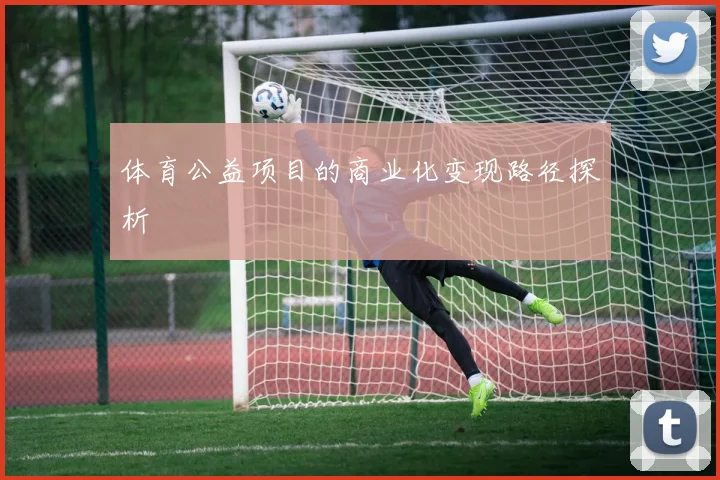 体育公益项目的商业化变现路径探析