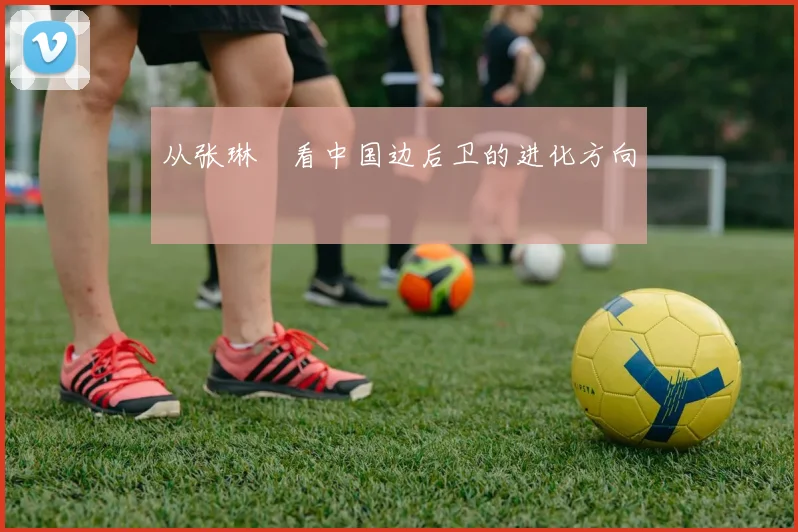 从张琳芃看中国边后卫的进化方向