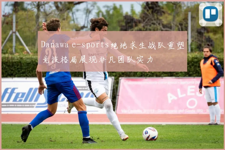 Danawa e-sports绝地求生战队重塑竞技格局展现非凡团队实力