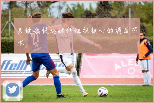 关键战役赵继伟组织核心的调度艺术