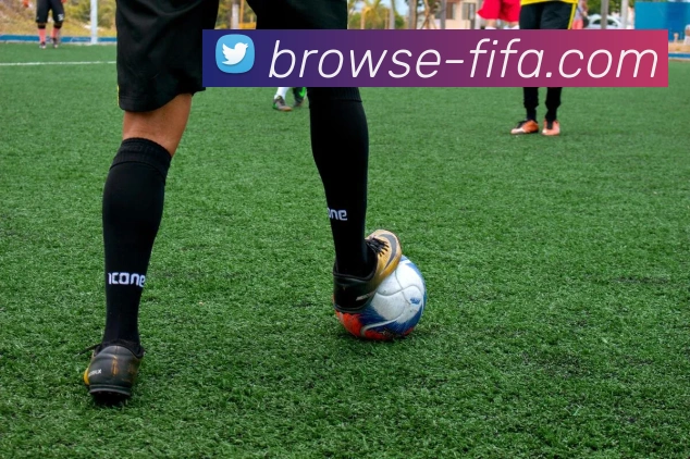 世界杯FIFA平台生态图